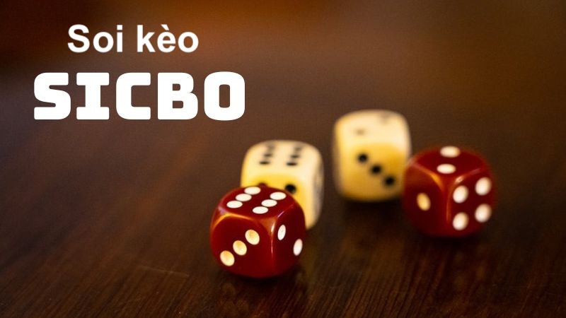 Soi kèo sicbo | Phương pháp soi hiệu quả dành cho cược thủ