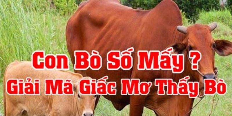 Ý nghĩa về giấc chiêm bao thấy bò